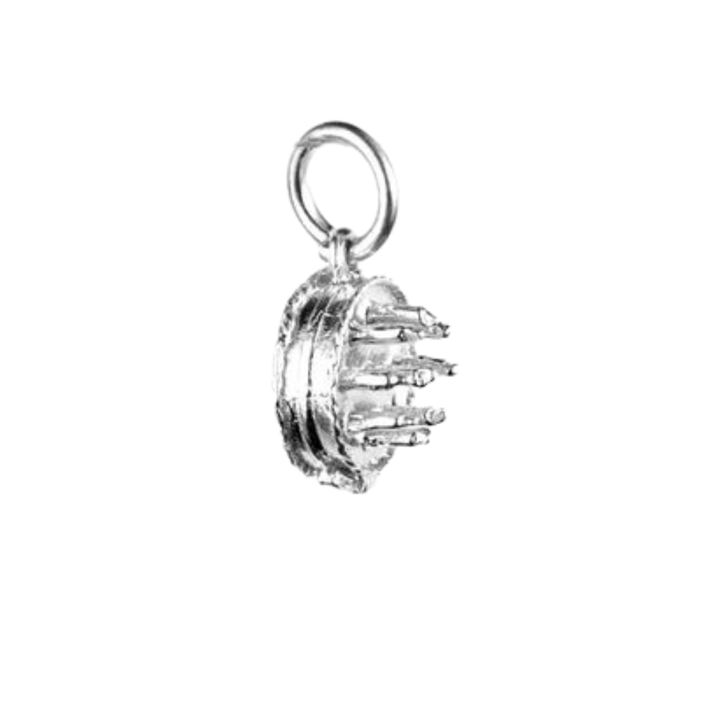 Piece of Cake Charm