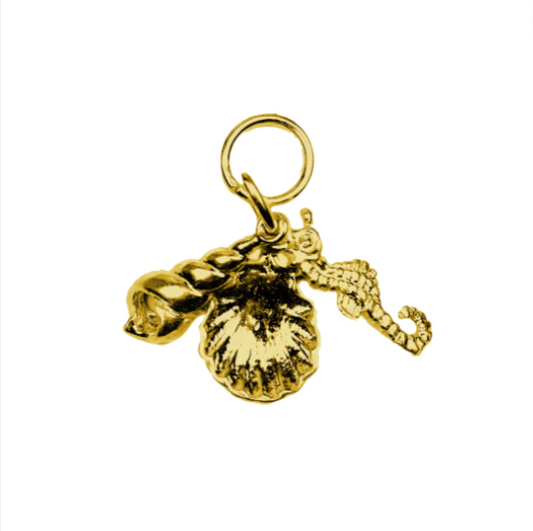 Seashell Stasher Charm