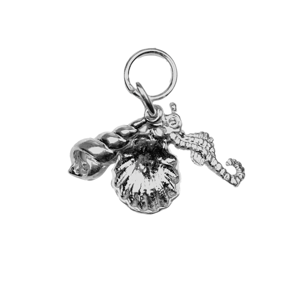 Seashell Stasher Charm