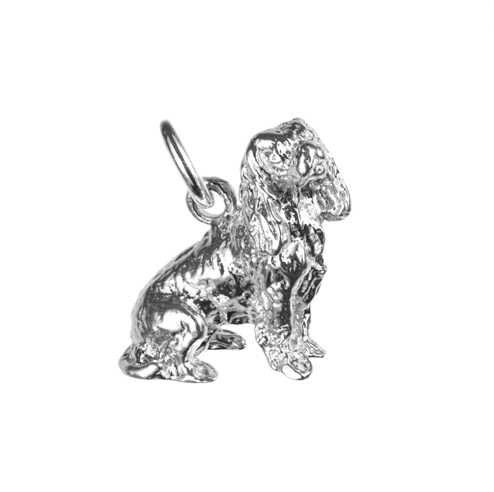 Spaniel Charm