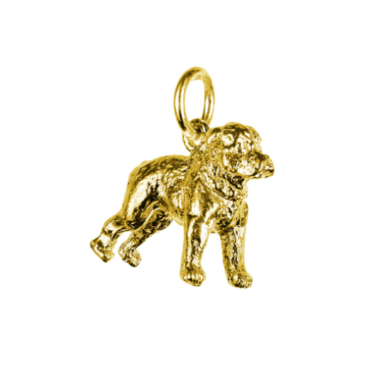 Staffs Bull Terrier Charm