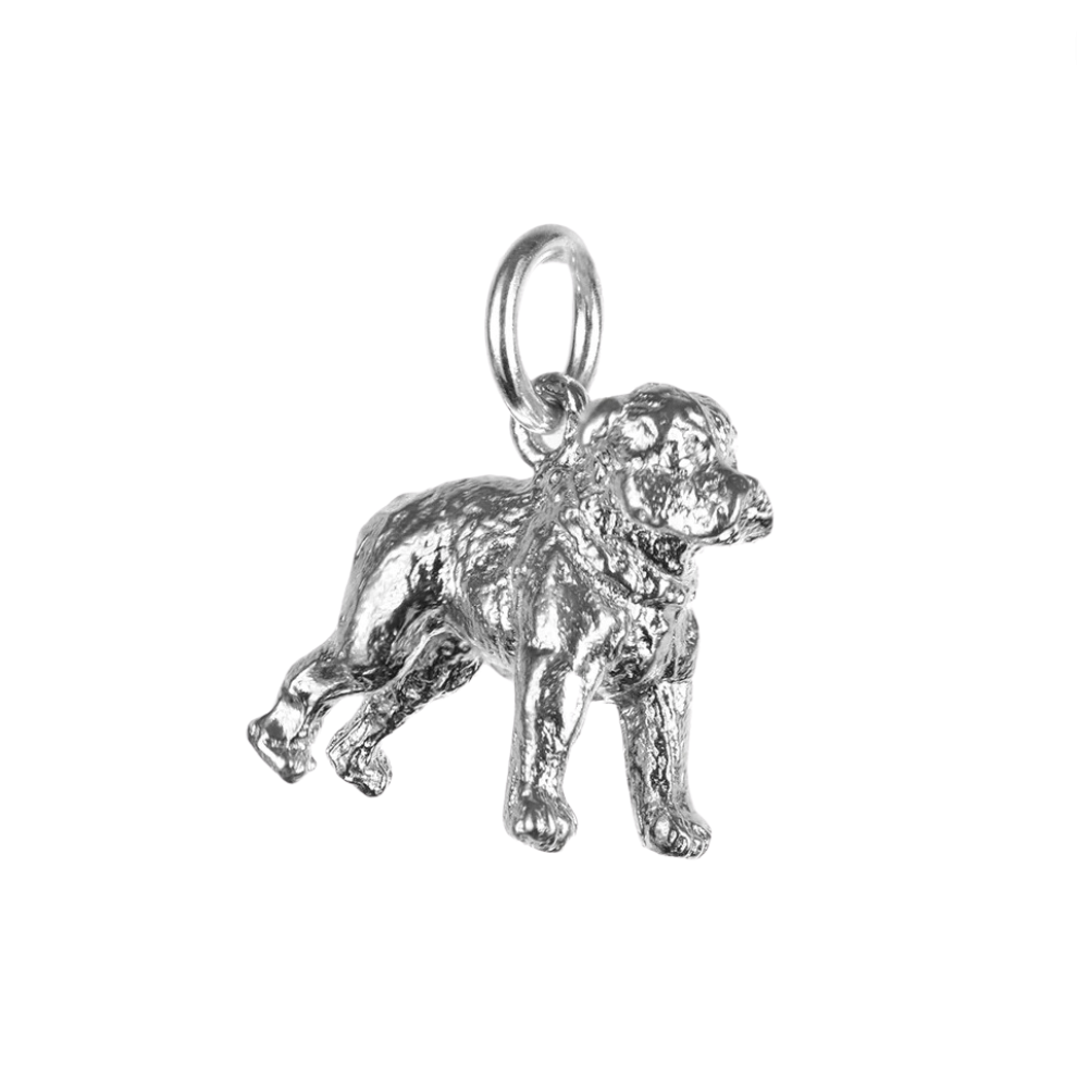 Staffs Bull Terrier Charm