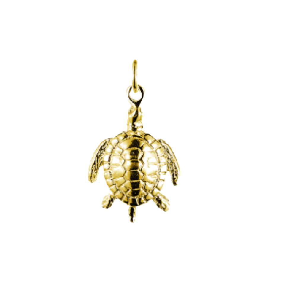 Timmy the Turtle Charm