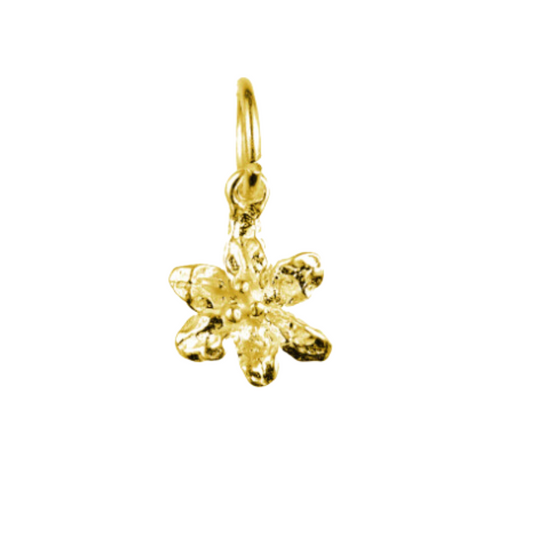 Daffodil Darling Charm