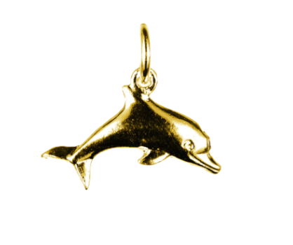 Donna the Dolphin Charm