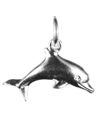 Donna the Dolphin Charm