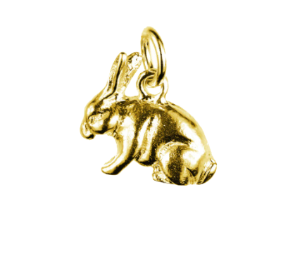 Funny Bunny Charm