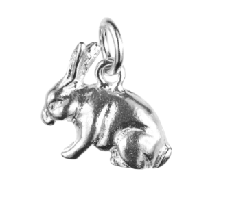 Funny Bunny Charm