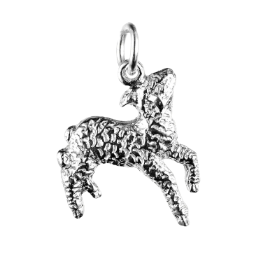 Spring Lamb Charm